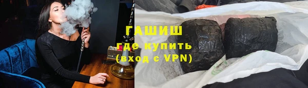 мдпв Гусев