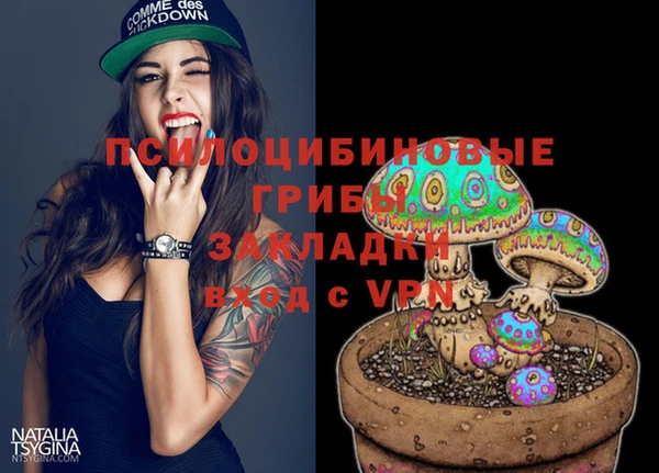 соль ск Нягань
