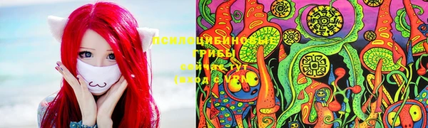 соль ск Нягань